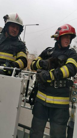 Salvare de la inaltime | imaginea 1