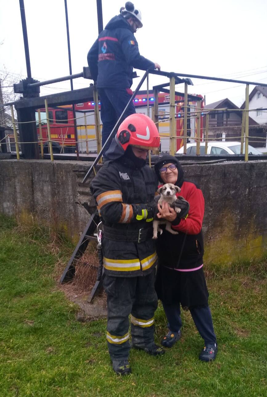 Un catelus norocos | imaginea 1