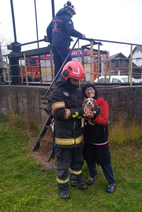 Un catelus norocos | imaginea 1