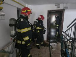 Catelus salvat dintr un incendiu de apartament | imaginea 1