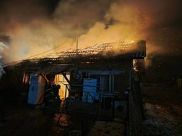 Doi caini salvati dintr un incendiu de gospodarie | imaginea 1