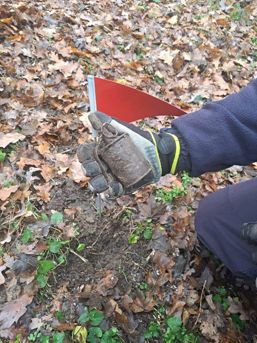 Grenada descoperita in padure | imaginea 1