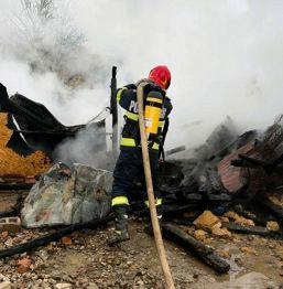 Incendii accident rutier si salvare de animale | imaginea 1
