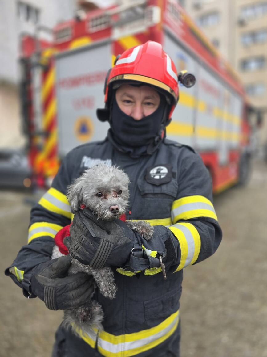 Pompierii lupta pentru fiecare viata | imaginea 1