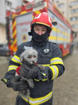 Pompierii lupta pentru fiecare viata | imaginea 1