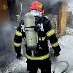 10 animale au pierit in flacari | imaginea 1