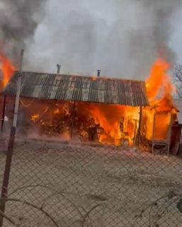 Actiuni caritabile si interventii de urgenta | imaginea 1