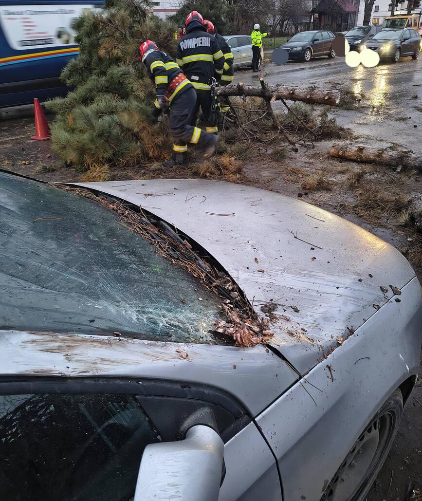 Copac prabusit peste masina  din cauza vantului puternic | imaginea 1