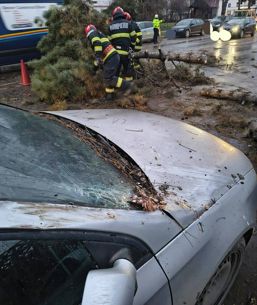 Copac prabusit peste masina din cauza vantului puternic | imaginea 1