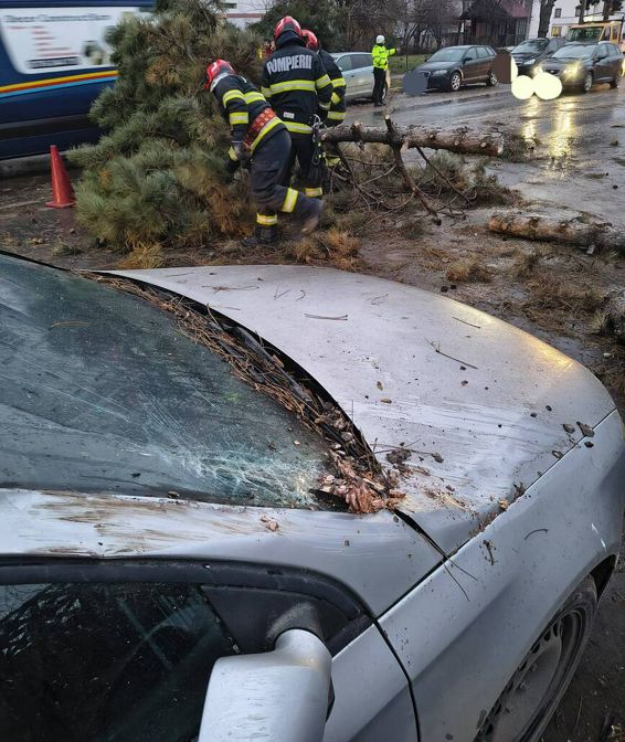 Copac prabusit peste masina  din cauza vantului puternic | imaginea 1