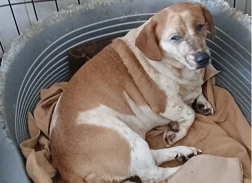 Explozie in Alba Iulia   O viata salvata de sub daramaturi | imaginea 1