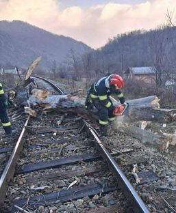 Interventie pentru degajarea unui copac cazut pe calea ferata | imaginea 1