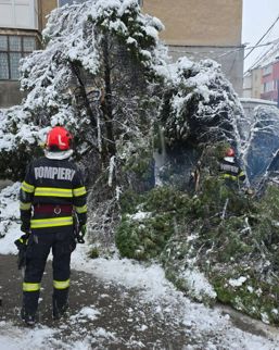 Interventii in urma caderilor masive de zapada | imaginea 1