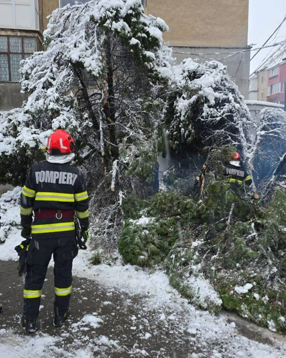 Interventii in urma caderilor masive de zapada | imaginea 1