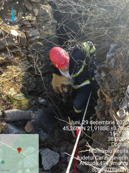 Misiune de salvare cu final fericit | imaginea 1