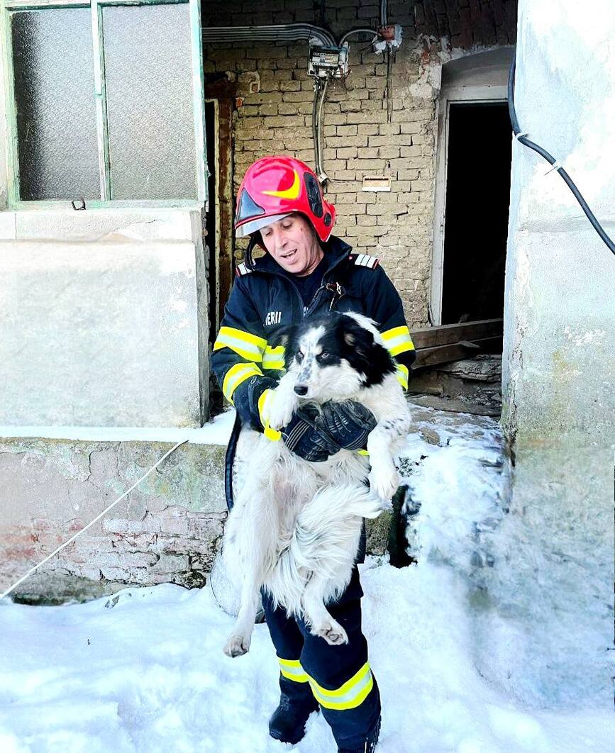 Misiune indeplinita   Un suflet salvat din frig | imaginea 2