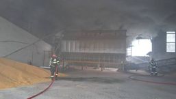 Noapte de foc in Bihor Patru incendii stinse de pompieri in 13 ore | imaginea 1