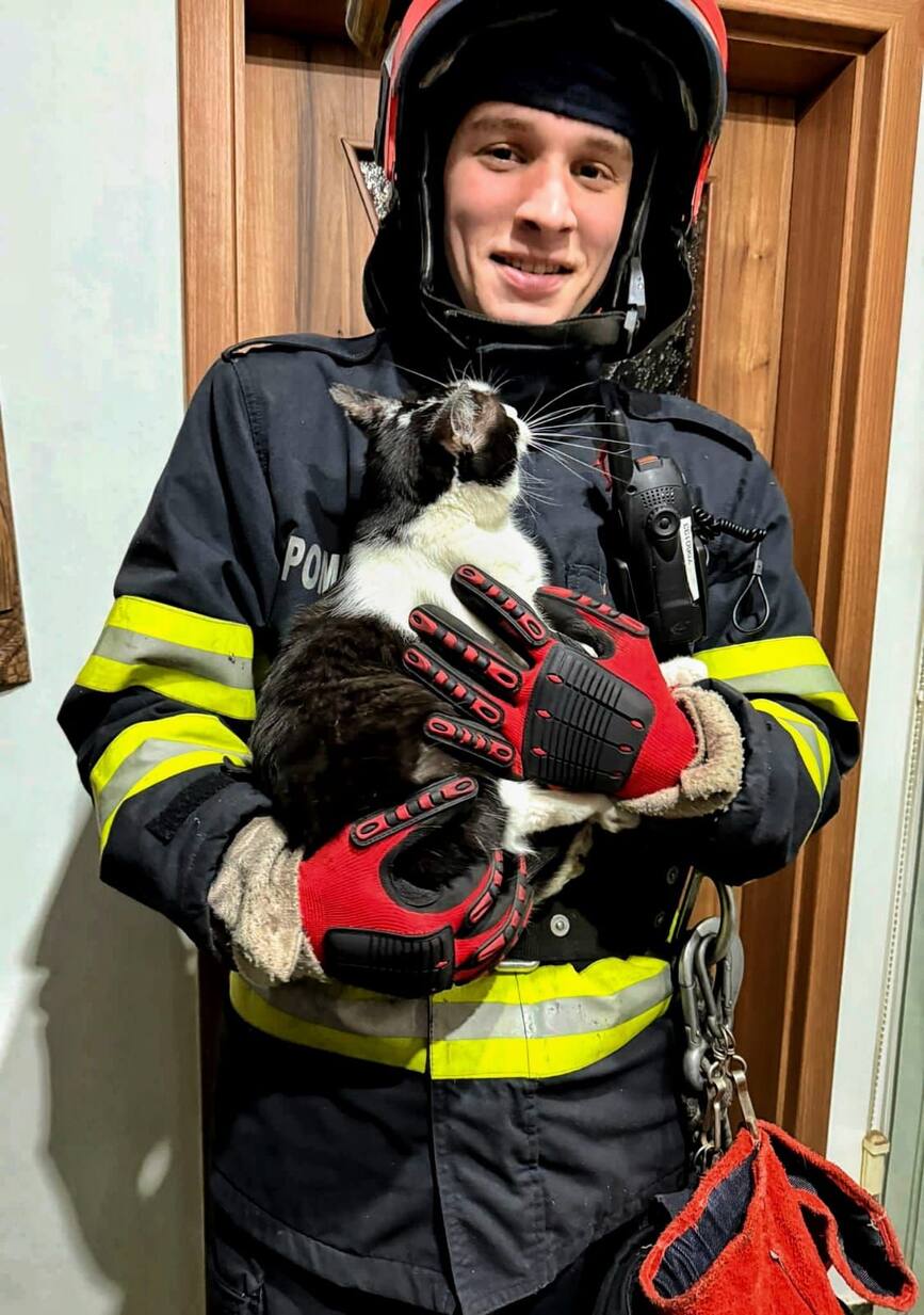 Salvare cu final fericit | imaginea 1