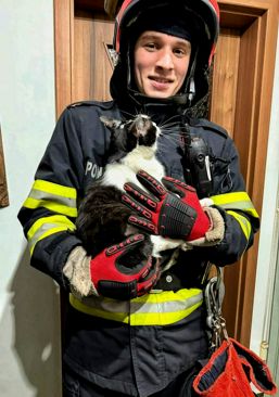 Salvare cu final fericit | imaginea 1