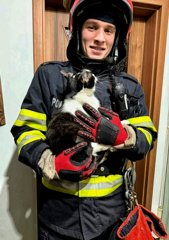 Salvare cu final fericit | imaginea 1