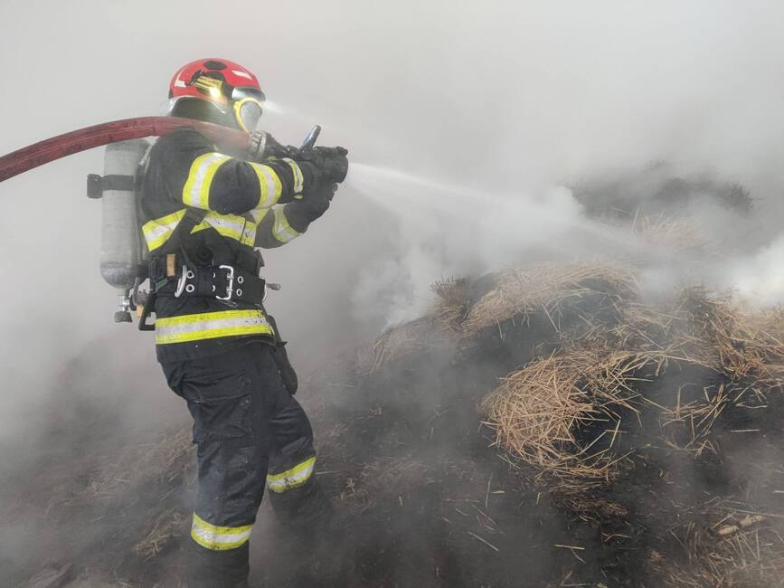 Zeci de animale evacuate dintr un incendiu masiv | imaginea 1