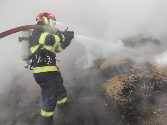 Zeci de animale evacuate dintr un incendiu masiv | imaginea 1