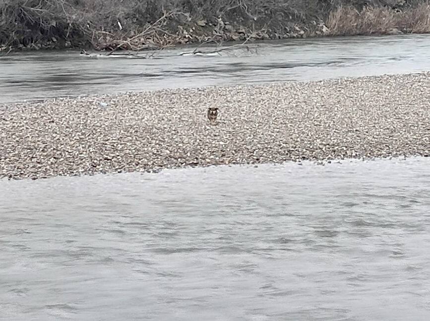 Final fericit   Salvat din mijlocul apelor | imaginea 1