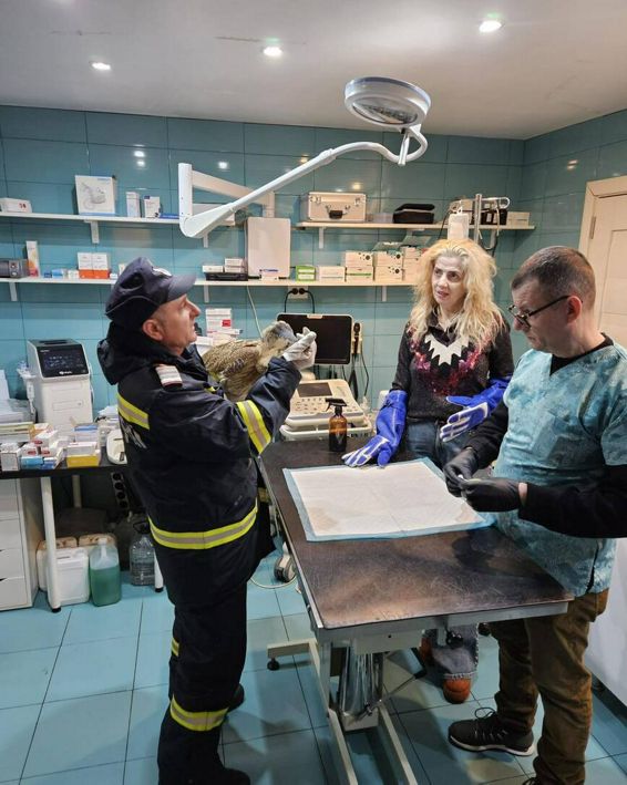 Misiune de suflet  Un oaspete special in grija pompierilor | imaginea 1