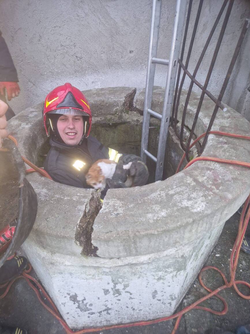 Pisica salvata din fantana si adoptata de pompieri | imaginea 1