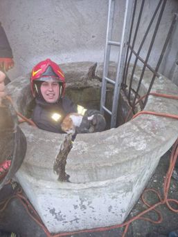 Pisica salvata din fantana si adoptata de pompieri | imaginea 1