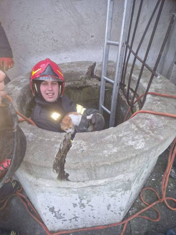 Pisica salvata din fantana si adoptata de pompieri | imaginea 1