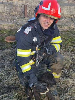 Pompierii din Botosani  din nou eroi pentru necuvantatoare | imaginea 1