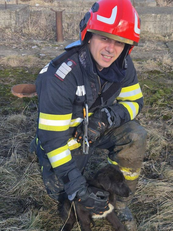 Pompierii din Botosani  din nou eroi pentru necuvantatoare | imaginea 1