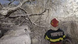 Zapada grea in Giurgiu  Copaci prabusiti peste masini | imaginea 1