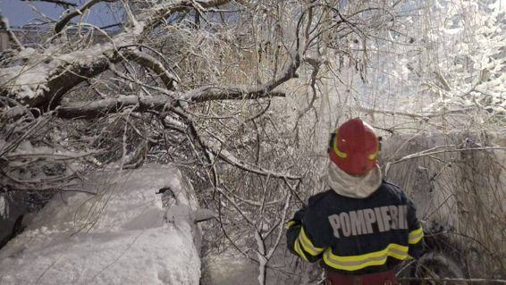 Zapada grea in Giurgiu  Copaci prabusiti peste masini | imaginea 1