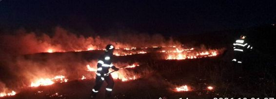 Atentie  Un simplu foc de vegetatie poate deveni o tragedie | imaginea 1
