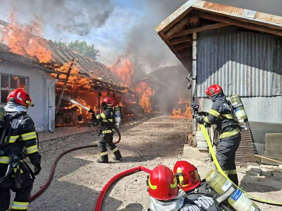 Bilant ISU Bihor 2025  Interventii si vieti salvate | imaginea 1