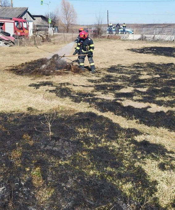 Doua case  la un pas de a fi mistuite de flacari | imaginea 1