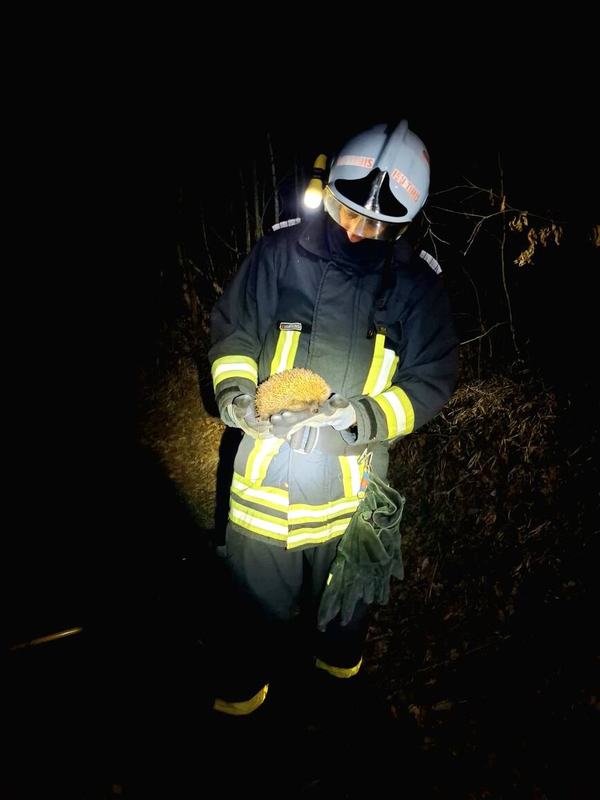 Fii responsabil  nu piroman | imaginea 1