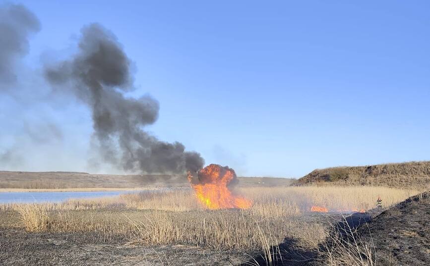 Incendii scapate de sub control in Botosani | imaginea 1
