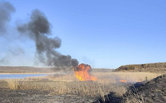Incendii scapate de sub control in Botosani | imaginea 1