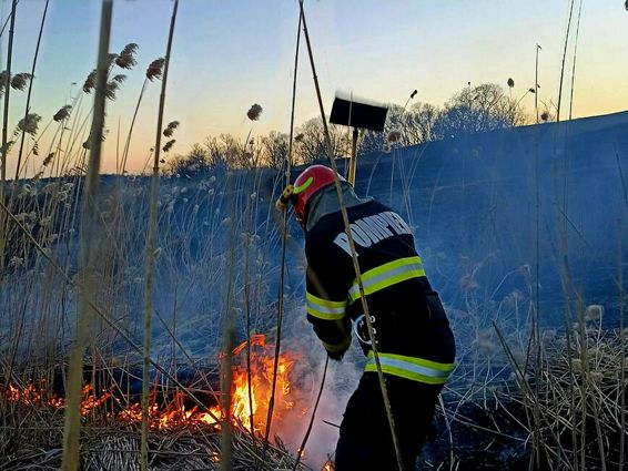 Incendiu de proportii  5 hectare afectate de flacari | imaginea 1