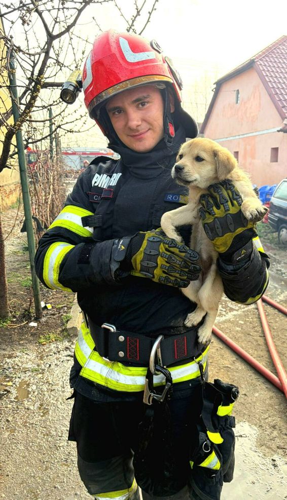 Interventie contracronometru pentru salvarea unui catel | imaginea 1