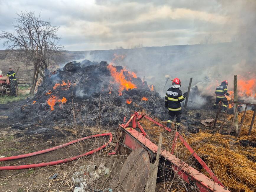 Interventie prompta la incendiu  Catelus salvat din zona afectata | imaginea 1
