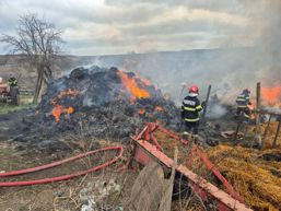 Interventie prompta la incendiu Catelus salvat din zona afectata | imaginea 1