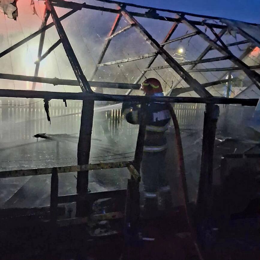 Jarul din soba  fatal pentru un solar  Sfaturi pentru legumicultori | imaginea 1