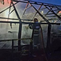 Jarul din soba  fatal pentru un solar  Sfaturi pentru legumicultori | imaginea 1