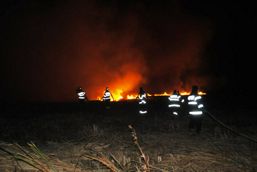 Misiuni diverse pentru pompierii calaraseni | imaginea 1