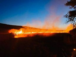 Misiuni operative si un apel ferm la responsabilitate | imaginea 1