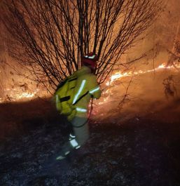 Pompierii bihoreni au salvat casele din calea focului | imaginea 1